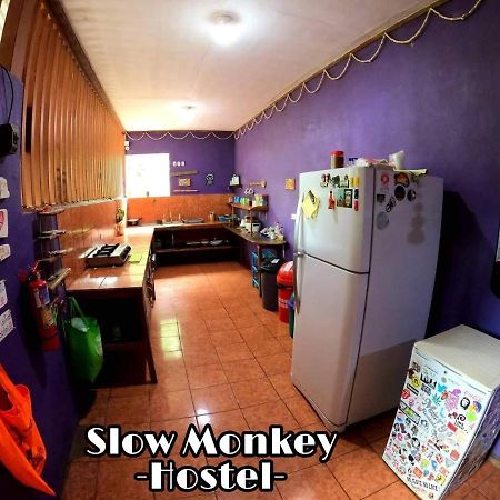 Slow Monkey Hostel Playa Santa Teresa  Eksteriør billede