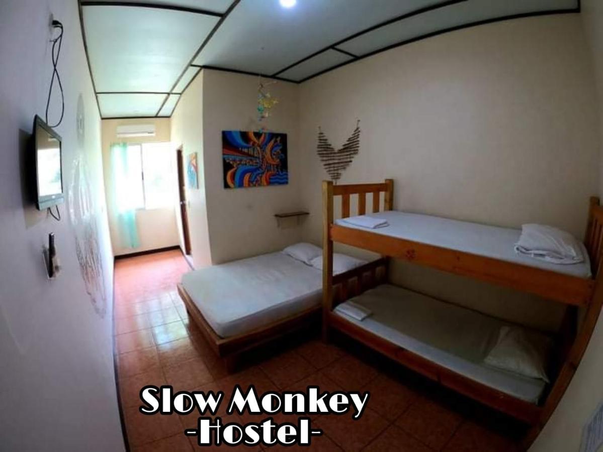 Slow Monkey Hostel Playa Santa Teresa  Eksteriør billede