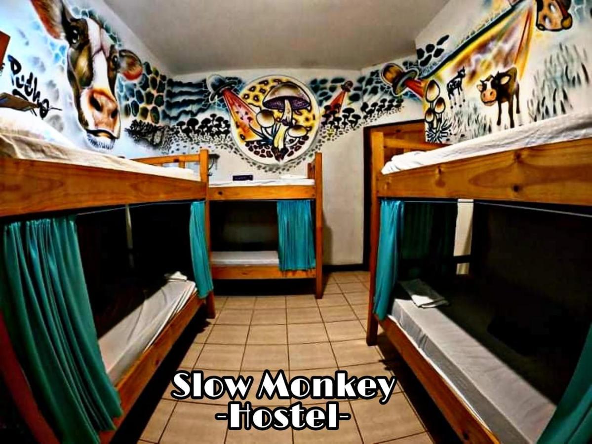 Slow Monkey Hostel Playa Santa Teresa  Eksteriør billede