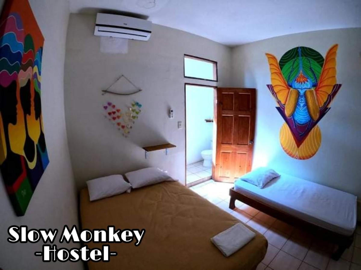 Slow Monkey Hostel Playa Santa Teresa  Eksteriør billede