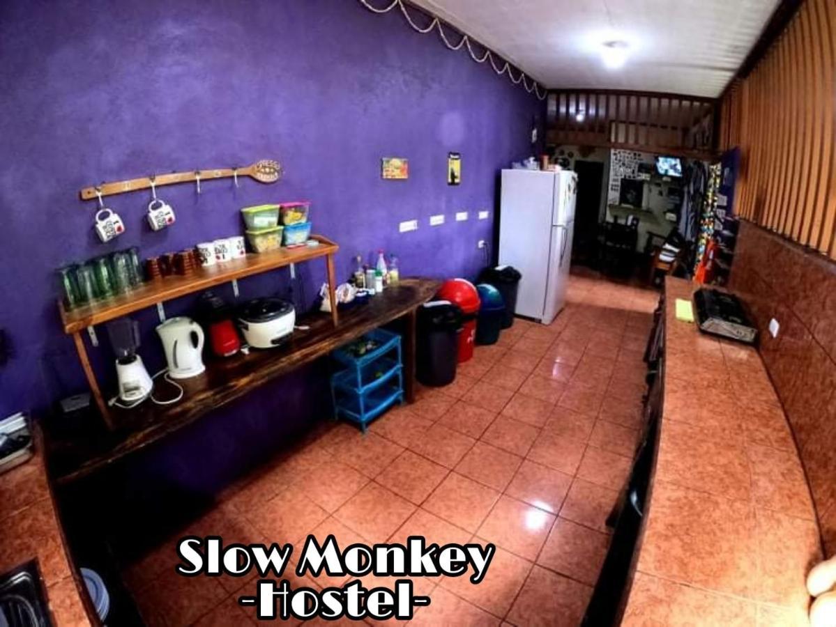 Slow Monkey Hostel Playa Santa Teresa  Eksteriør billede