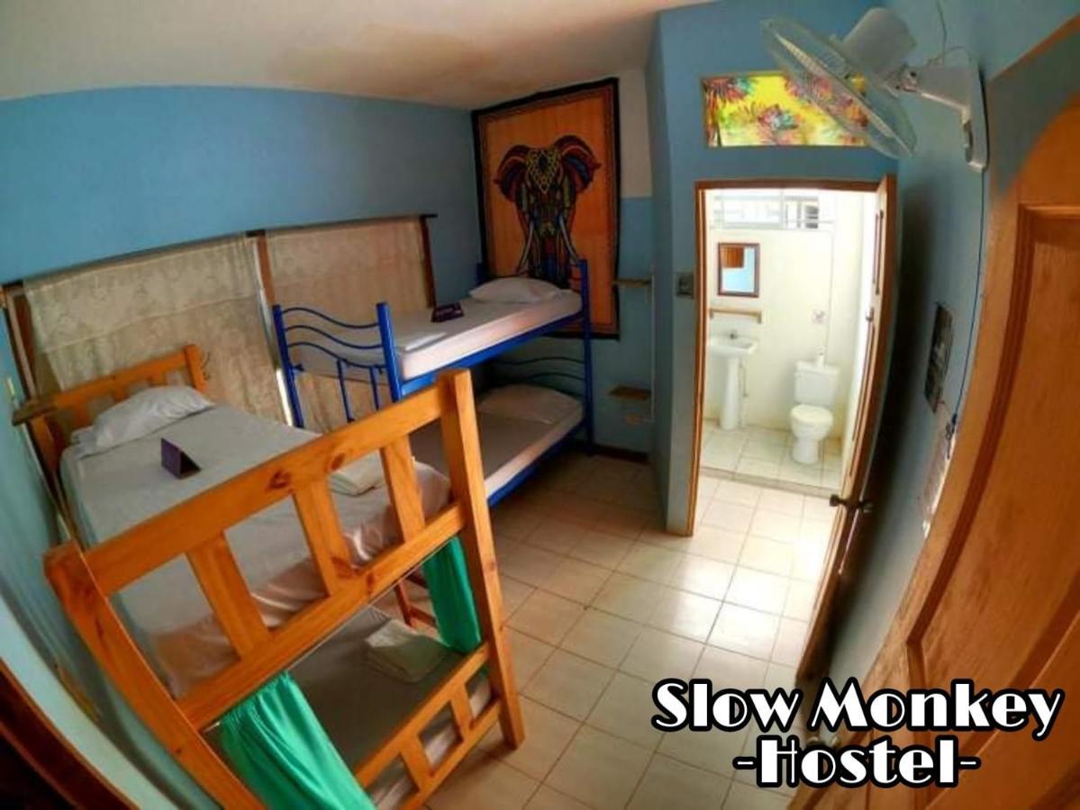 Slow Monkey Hostel Playa Santa Teresa  Eksteriør billede