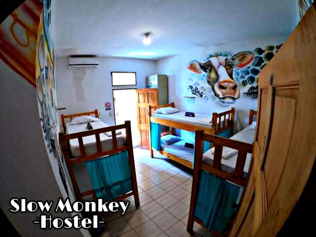 Slow Monkey Hostel Playa Santa Teresa  Eksteriør billede